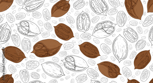 organic pecan nuts texture with shelled and unshelled whole nuts and halves in a detailed seamless pattern for food packaging design.