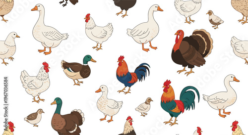 farm birds seamless pattern including roosters chickens ducks geese and turkeys in a colorful illustration for agricultural and food design.