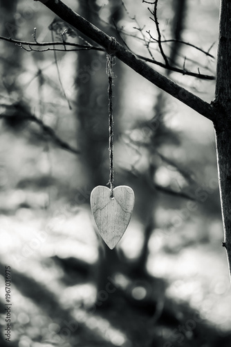 Hanging Heart in Tree Black and White Minimalism Love Symbol Nature Bokeh Emotional Concept Photography