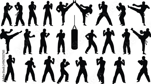 Silhouettes of martial artists practicing kicks and stances with punching bag, combat training, discipline, fitness, sports, strength, movement