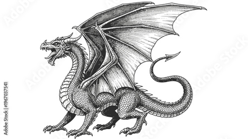 Illustration of a fierce dragon with detailed wings, scales, and a menacing open mouth in black