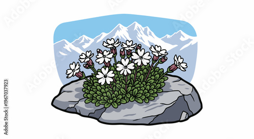 Mountain peaks overlook delicate white alpine flowers growing on a rocky outcrop
