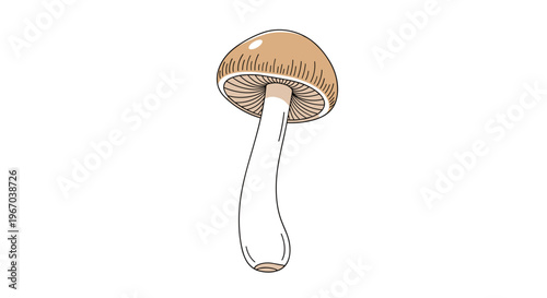 A single, tall mushroom with a light brown cap and a curved white stem stands upright on a plain white background.