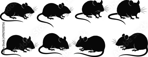 Silhouettes of mice in side profile views, artistic animal illustration, rodent diversity, biology, nature, design, comparative visual study