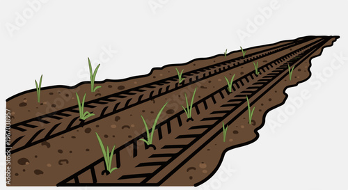 Rows of young green sprouts emerge from dark soil with tractor tracks