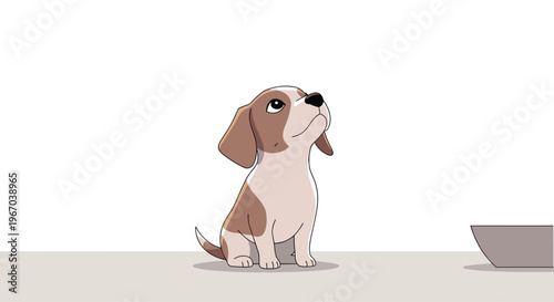 A small, brown and white puppy with floppy ears sits on a light gray surface, looking up towards a partially visible food bowl on a white background.