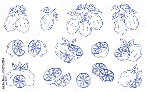 Italian lemons set in hand drawn whimsical style. La Dolce Vita. Amalfi coast. Mediterranean summer.