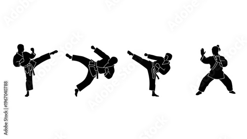 Silhouette of Martial Arts Practitioners Performing High Kicks and Techniques in a Training Session
