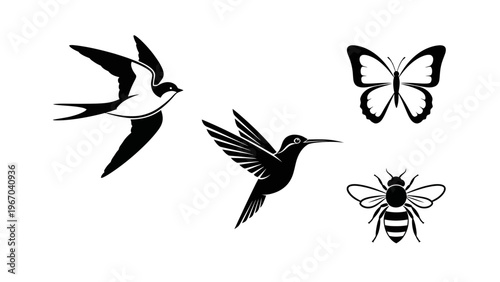 Silhouettes of Various Flying Insects and Birds in Black on White Background