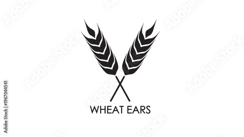 Wheat ears simple black logo with text underneath for branding and agricultural themes featuring grain, cereal, agriculture with harvest and food