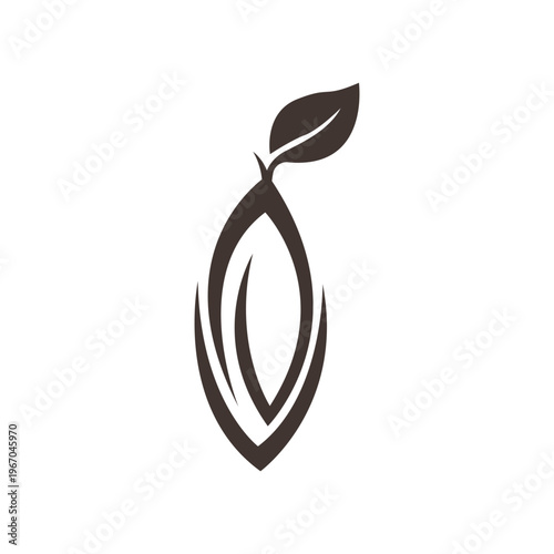 cacao fruit logo in brown color in simple flat vector design
