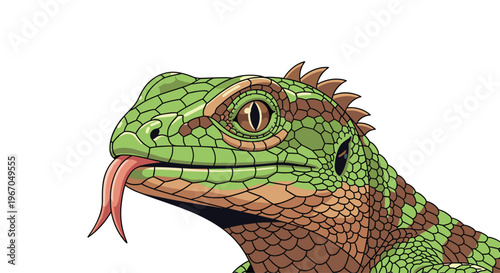 A detailed side profile of a lizard's head with green and brown scales and a short pinkish tongue is shown on a white background.
