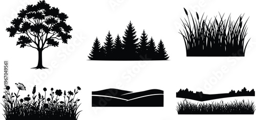 Collection of blooming flowers and green plants silhouette vector illustration.