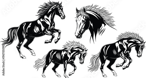 A collection of high-quality black and white stallion horse silhouettes including jumping, running, and head profile vectors for equestrian sports and wild animal designs.