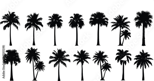 A comprehensive collection of diverse palm tree silhouettes set against a white background featuring various tropical coconut and date palm species for summer designs.