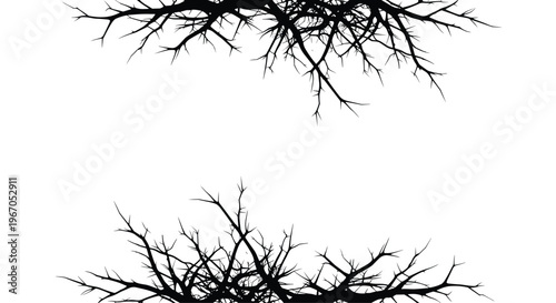 Two separate horizontal borders of dark, spiky, leafless branches are positioned at the top and bottom, creating a frame-like effect on a plain white background.