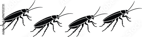 A set of four black vector silhouette illustrations of cockroaches crawling in a row isolated on white background for pest control service design