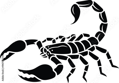 Detailed black vector silhouette illustration of a dangerous scorpion with sharp claws and a curved stinger isolated on white background for wildlife and nature design