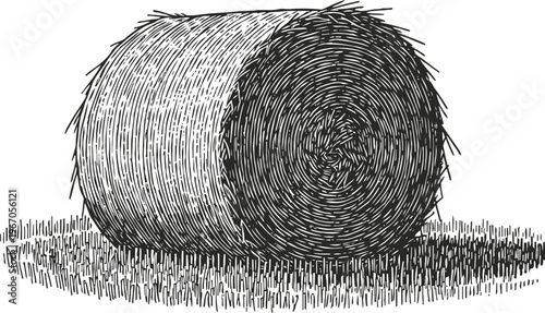 Hay bale rolled tightly on grass field rustic farming landscape element in black ink sketch