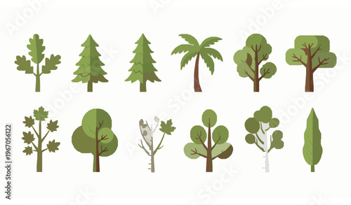 Flat style tree collection vector set isolated with various forest and tropical trees on white background