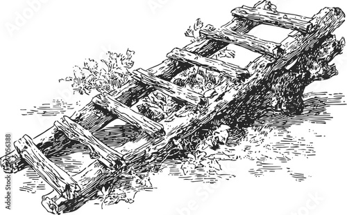 Old wooden ladder lying on the ground with plants and grass around it vintage ink drawing