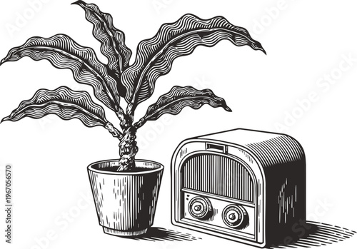 Vintage radio and potted plant illustration retro home decor with old fashioned radio and leafy indoor plant black and white line art