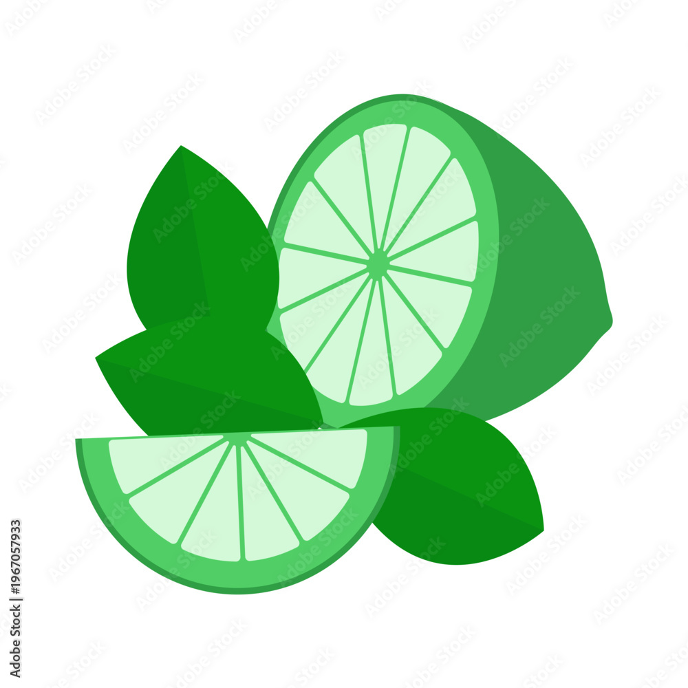 Obraz premium Lime slices vector illustration, fresh lime citrus icon