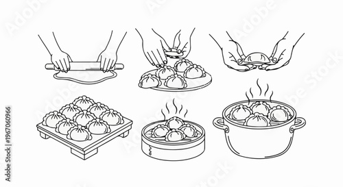 Illustration shows hands preparing and steaming dumplings in a step-by-step visual guide