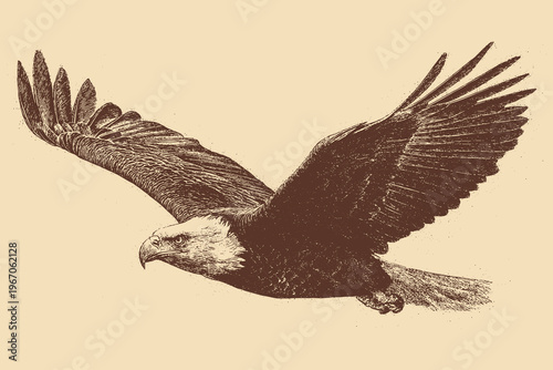 Vector drawing of a flying bald eagle silhouette. Vintage American outdoor style.