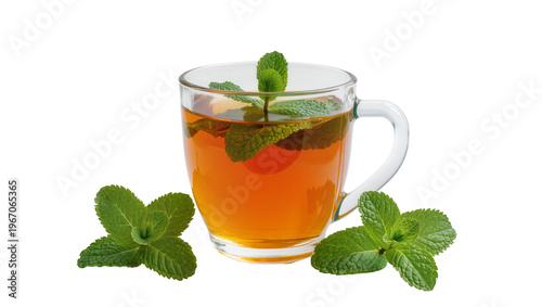 Obraz na płótnie Clear glass mug filled with amber tea and fresh mint leaves, isolated on transpa