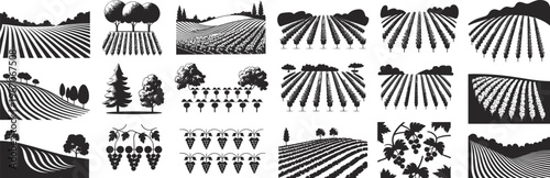 Agriculture farm landscape silhouettes with crop fields, vineyards and trees isolated on white background, rural farming illustration set design