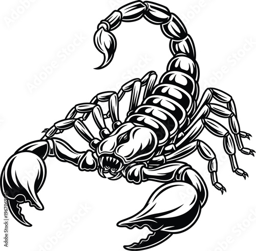 Scorpion Illustration Detailed Black and White.