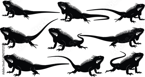 Iguana silhouette set, lizard reptile collection, exotic animal poses, wildlife illustration, reptile motion, tropical creature, iguana vector, nature design