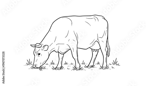 Cow grazing line drawing simple farm animal vector illustration