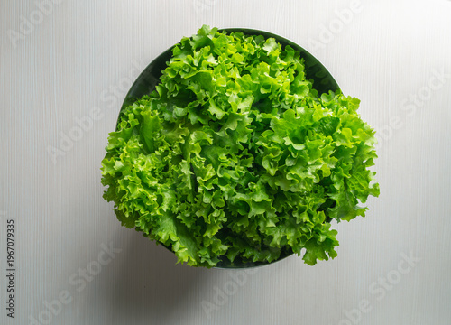 Canvas Print Fresh green curly lettuce leaves in a dark bowl on white wooden background, top view