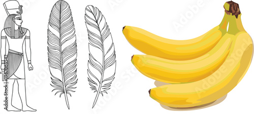 Ancient Egyptian Feather and Banana Vector Illustration Set Featuring Pharaoh Symbolic Feathers and Tropical Fruit Isolated Graphic Collection