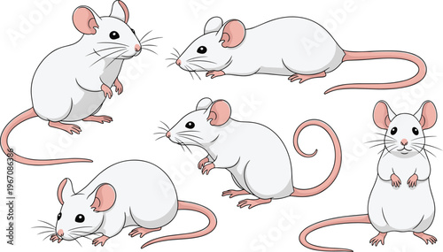 Cartoon illustration of five white mice with pink tails, ears, and whiskers in different poses, representing animal artwork, educational design, and playful rodent character concept