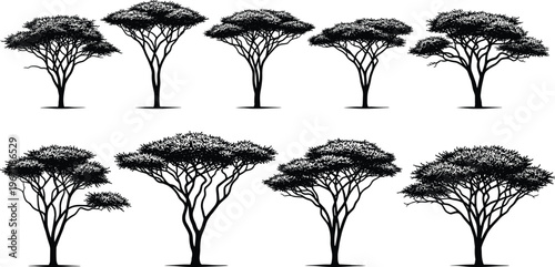 Acacia tree silhouettes collection, african savanna trees, flat top canopy shapes, black vector illustration, isolated design, nature landscape elements set