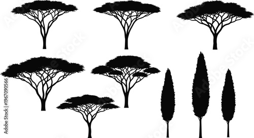 Tree silhouettes collection, acacia and cypress trees illustration, nature landscape elements, black white vector, forest plants set, decorative botanical design