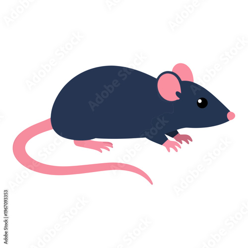 Pink and Blue Mouse Vector Icon