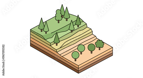 Cross section of a layered landscape with trees and vegetation.