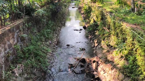 The flow of water in a small natural river that is overgrown with wild plants around it