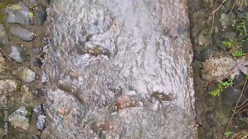 A fairly strong water flow in a small canal