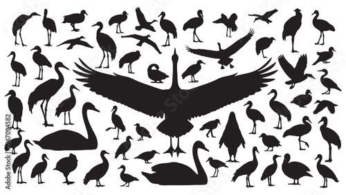 A silhouette symphony a flock of birds in flight and restful poses