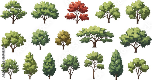 Diverse collection of vector trees, various shapes and colors, isolated on white background