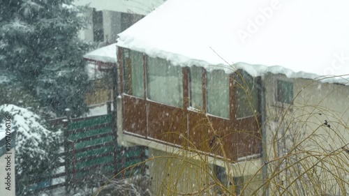 sleet. winter landscape with precipitation in the form of snow.