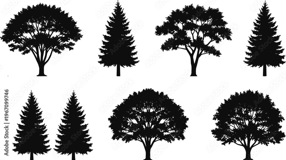 Fototapeta premium Tree silhouettes, deciduous rounded canopy, pine evergreen forms, forest comparison, botanical diversity, outdoor nature vector, landscape illustration, design composition