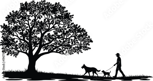 Person walking dogs, leash silhouettes, outdoor nature path, large tree foliage, companionship illustration, lifestyle vector, peaceful activity design composition