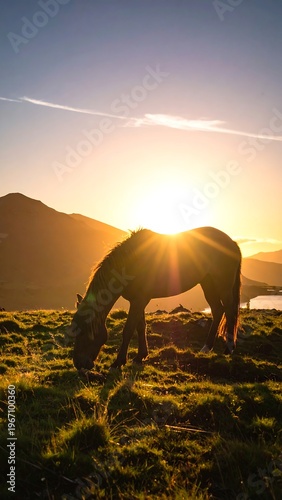 A horse grazes on a lush grassy knoll, silhouetted against a radiant sunset. Mountains and a subtle lake complete the scenic vista