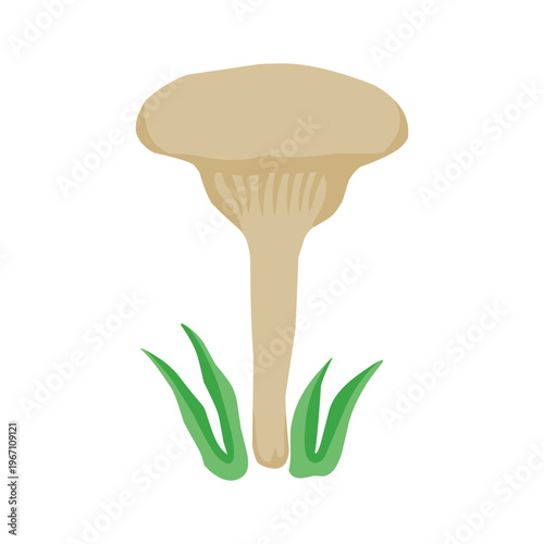 Single wild beige mushroom with green grass vector illustration. Cute hand drawn edible mushroom clipart for cooking and nature design